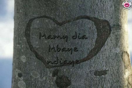 je t'aime